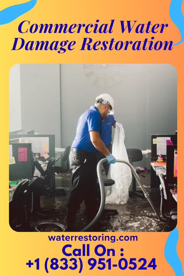 Commercial Water Damage Restoration in Homer, NE
